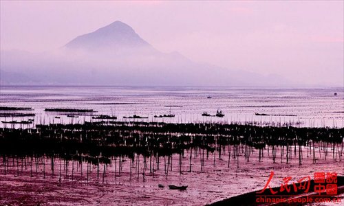 Xiapu mudflat scenery is as beautiful as a water-and-ink painting. (Chinapic.people.com.cn)