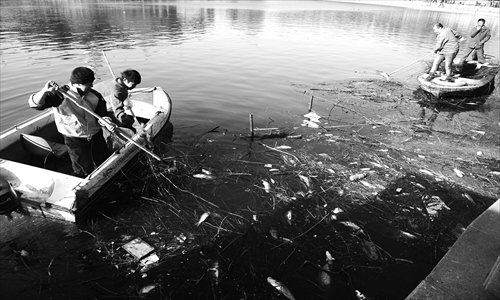 Workers at Beihai Park clear the dead fish that did not survive the winter from Beihai Lake Sunday. Park authorities blamed the fish deaths on misguided 