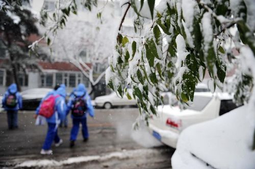 Children walk past snow-covered tree branches and cars in Changchun, capital of Northeast China's Jilin Province, October 22, 2012. Most parts of Jilin witnessed snowfall on Monday. Photo: Xinhua