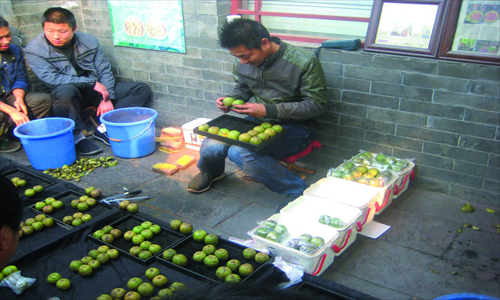 A walnut vendor helps his costumers to find a matching pair of green-skinned walnuts.
