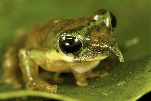 (Photo Source: huanqiu.com)
