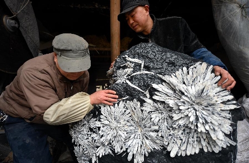 Craftsmen carry away a finished handicraft made of chrysanthemum stone in a workshop in Enshi, central China's Hubei Province, Jan. 12, 2013. 
