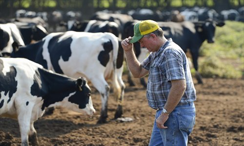 Heck Davis, owner of Green Glades Farm, inspects his dairy cows in a pasture in Eatonton, Georgia, US on Friday. Farmers and officials say that the continuing drought and other factors have caused the price of feeding their herds to increase 40 to 50 percent, while the price of milk has remained steady. Photo: AFP