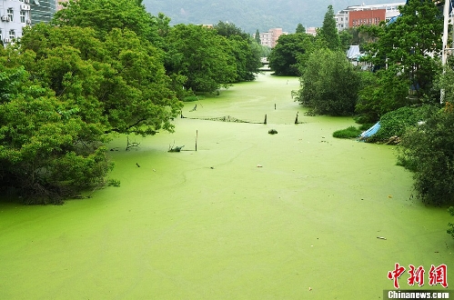 (Source: chinanews.com)