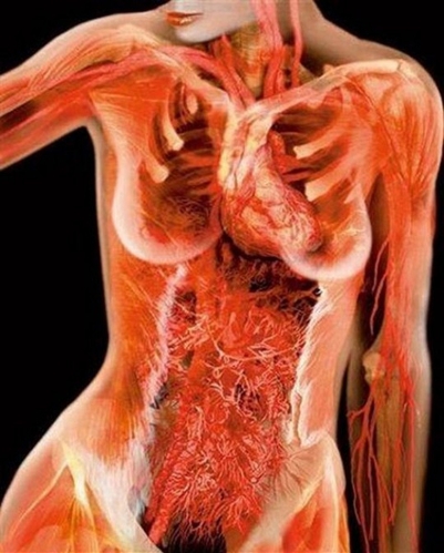 (Photo Source: china.org.cn)