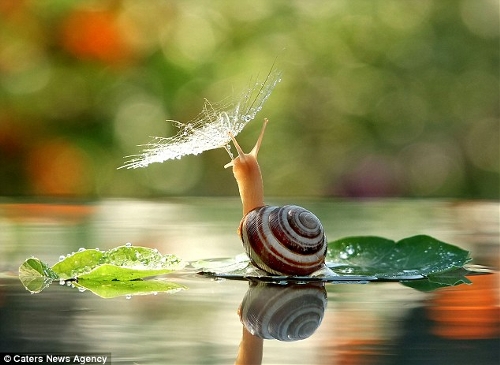 (Photo: huanqiu.com)