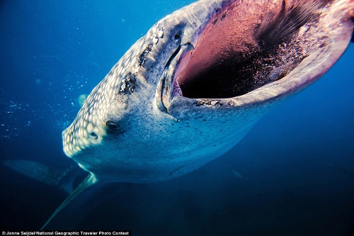 (Source: Huanqiu.com)The National Geographic Traveler Photo Contest will be open until June 30, 2013. Click here to check out some past photos, and take a look some of this year's incredible submissions below: