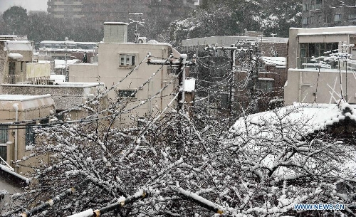 Snow-covered buildings are seen in Tokyo, capital of Japan, Jan. 14, 2013. A storm system hit eastern Japan on Monday resulting in heavy snow fall that had impacted on traffic in many prefectures, including the capital city of Tokyo. (Xinhua/Ma Ping) 