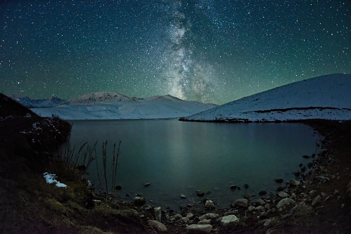 Low Light, Elmar Akhmetov, Kazakhstan&nbsp; (Source: huanqiu.com)Starry tree by Elmar Akhmetov won the low-light section of the 2013 Sony World Photography Awards open category. The winning open-category photographs, announced on Tuesday, were selected from nearly 55,000 entries by amateurs around the world.