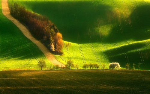 (Photo Source: photo.huanqiu.com)