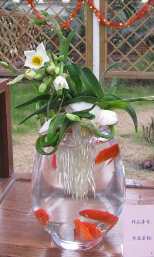 Lu Haigen's Chinese sacred lily blooms alongside live goldfish. Photo: Courtesy of Shanghai Gongqing Forest Park