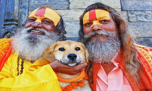 This undated handout photograph released by worldwooftour.com on Friday shows an adopted Indian dog named Rupee posing with Hindu saddhus (holy men) in Kathmandu. An abandoned puppy rescued from a rubbish dump in India has trekked to Everest Base Camp, becoming what is believed to be the first dog to tackle the peak, his owner said on Friday. Photo: AFP