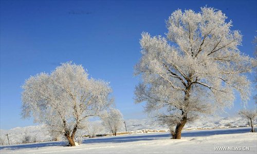Photo taken on Dec. 6 shows the rime scenery at Xemirxek Town, Altay City, northwest China's Xinjiang Uygur Autonomous Region. Affected by the heavy snow and low temperature, Altay City received rime on Thursday. Photo: Xinhua 