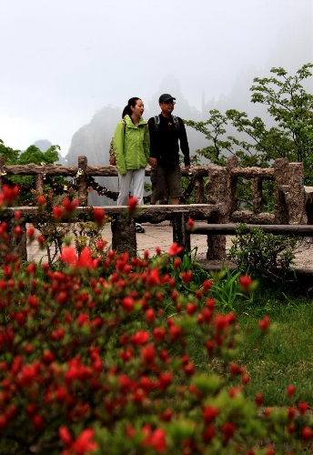 Photo taken on May 7, 2013 shows visitors viewing the blooming azaleas at the Huangshan Mountain scenic spot in Huangshan City, east China's Anhui Province. (Xinhua/Shi Guangde)