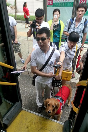 A visually handicapped resident surnamed Chen is prevented from boarding a bus with his guide dog in Jinan, capital of Shandong Province Wednesday, the same day Chinese Regulations on Construction of Accessible Environment took effect. The new regulation requires a barrier-free social environment for the disabled. Photo: CFP
