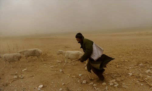 A local man follows his sheep during a dust storm on April 12, 2010. Photo: CFP