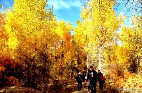 Tourists enjoy the scenery at a forest park in Jiuquan city, Northwest China's Gansu Province, October 6, 2012. Photo: Xinhua