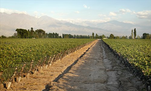 South American wineries are expanding into the booming Chinese market.