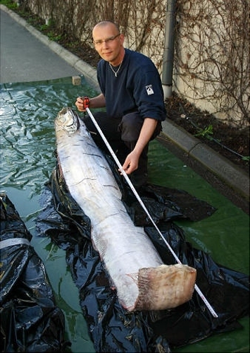 (Photo Source: huanqiu.com)