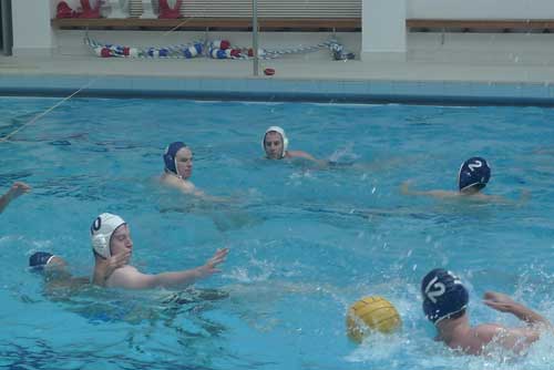 The Shanghai Sea Dragon Water Polo Club scrambles for the ball during a match. Photo: Ye Jun/GT