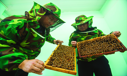 Doctors examine bees kept in beehives.Photo: IC
