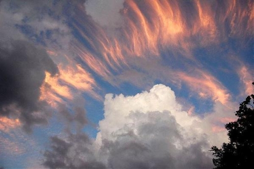 Fallstreak against the sunset (Source: www.gmw.cn)