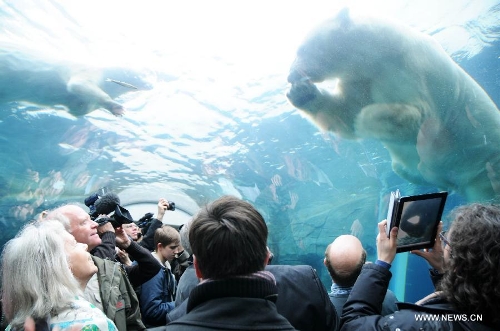 People watch a polar bear as they visit the newly-inaugurated Arctic Circle at the Copenhagen Zoo in Copenhagen, Denmark, Feb. 5, 2013. (Xinhua/Hasse)&nbsp; 