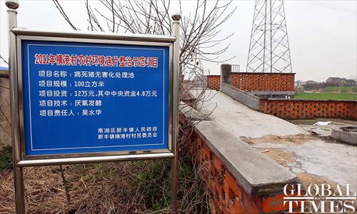 A local village has a special site designated to take in pig carcasses. Photo: Yang Hui / GT