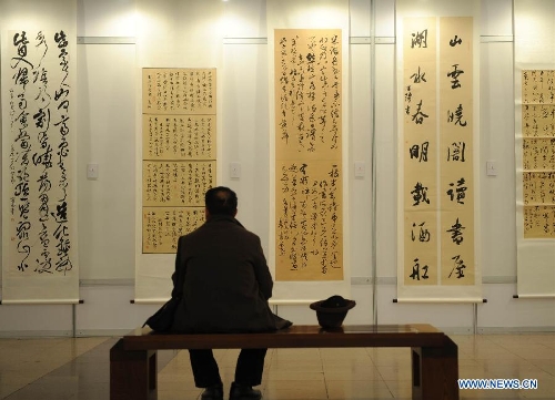 A visitor views calligraphy works at the Hebei Province Museum in Shijiazhuang, capital of north China's Hebei Province, Jan. 20, 2013. Over 160 works were displayed at a running script calligraphy exhibition, which kicked off on Sunday. (Xinhua/Wang Xiao)  