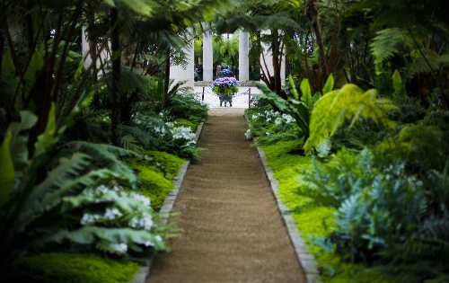 The photo taken on May 10, 2013 shows the Royal Greenhouse of Laeken in the royal garden in Brussels, capital of Belgium. The Belgian royal family opens its greenhouses in the royal garden with wide variety of flowers to the public for three weeks every year. (Xinhua/Zhou Lei) 