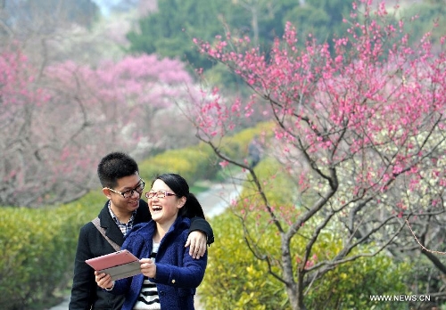 &nbsp;&nbsp;Photo taken on Feb. 27, 2013 shows a couple enjoy the scenery of plum blossoms at the 