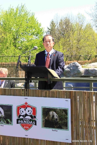 Chinese Ambassador to Canada Zhang Junsai delivers a speech at the opening ceremony of the Toronto Zoo's Giant Panda Experience in Toronto, Canada, May 16, 2013. About 200 VIP guests attended the opening ceremony of the Giant Panda exhibition at the Toronto Zoo on Thursday. The exhibit features two pandas from China, Da Mao and Er Shun, who will be staying in the Toronto Zoo for five years before they are moved to the Calgary Zoo for another five years in Canada. (Xinhua/Ma Dan) 