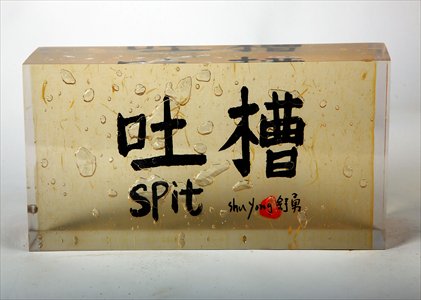 Shu Yong's Guge Bricks show popular Chinese online phrases with their English translation according to Google. Photos: Courtesy of Wang Chunchen