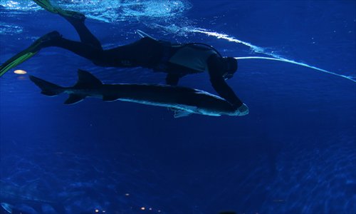 Landlocked Beijing can also be a place to study diving. Photo: CFP