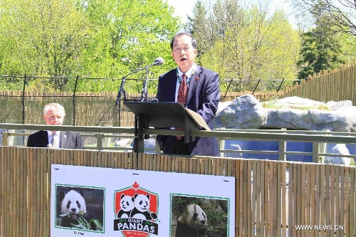 Chinese Ambassador to Canada Zhang Junsai delivers a speech at the opening ceremony of the Toronto Zoo's Giant Panda Experience in Toronto, Canada, May 16, 2013. About 200 VIP guests attended the opening ceremony of the Giant Panda exhibition at he Toronto Zoo on Thursday. The exhibit features two pandas from China, Da Mao and Er Shun, who will be staying in the Toronto Zoo for five years before they are moved to the Calgary Zoo for another five years in Canada. (Xinhua/Ma Dan) 