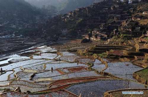 Photo taken on Feb. 3, 2013 shows the scenery of terraced fields in Kaili City of Qiandongnan Miao and Dong Autonomous Prefecture, southwest China's Guizhou Province. (Xinhua/Lai Xinlin)