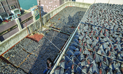 Shark fins dry in the sun on the roof of a factory building in Hong Kong on Wednesday. Hong Kong conservationists expressed outrage on Thursday after the images emerged, as they called for curbs on the 