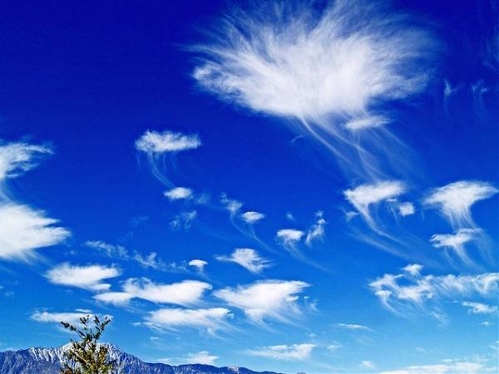 Fallstreak (Source: www.gmw.cn)