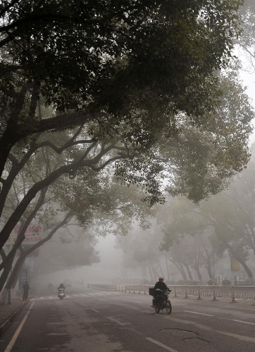 Citizens ride on the fog-shrouded Chongxin Road in Guilin, southwest China's Guangxi Zhuang Autonomous Region, Jan. 13, 2013. Dense fog on Sunday hit China's east and central regions from the northeast to the south, causing serious air pollution. (Xinhua/Lu Bo'an) 