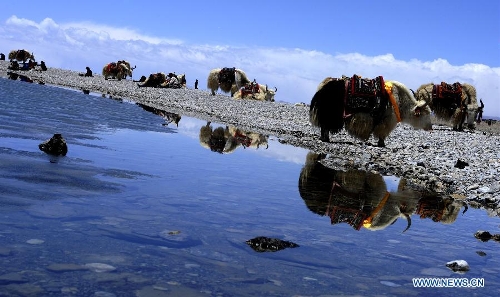 Photo taken on May 12, 2013 shows the scenery of Lake Namco in the northern part of southwest China's Tibet Autonomous Region. (Xinhua/Chogo)