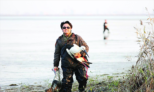 A volunteer carries a dead stork, and takes another still living bird for treatment at Beidagang reservoir in Tianjin on Sunday. Photo: Courtesy of Liu Lianjun