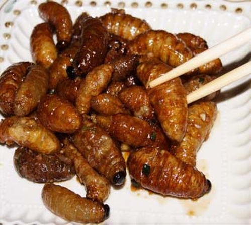 Eating worms (Photo Source: forum.news.cn)