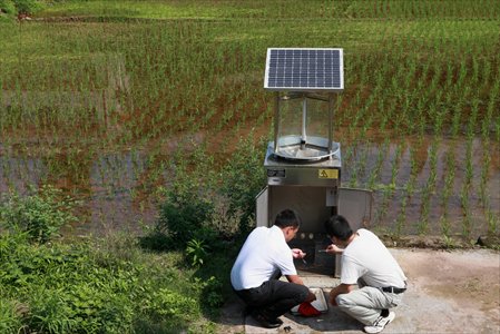 Two men squat besides pest monitoring equipment in a field in Neijiang, Southwest China's Sichuan Province on Monday. The season of 