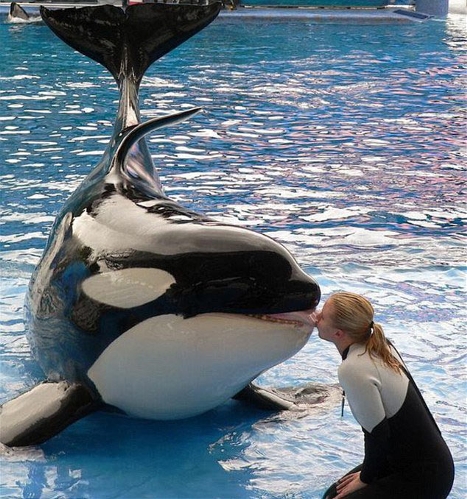 Dawn in a show (Source: huanqiu.com)