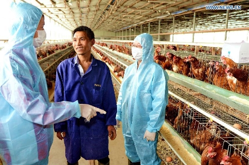 Disease control staffs talk with a chicken breeder in Fuqing, southeast China's Fujian Province, April 26, 2013. Health authorities in Fujian Province on Friday confirmed the province's first human case of H7N9 avian influenza. (Xinhua/Zhang Guojun) 