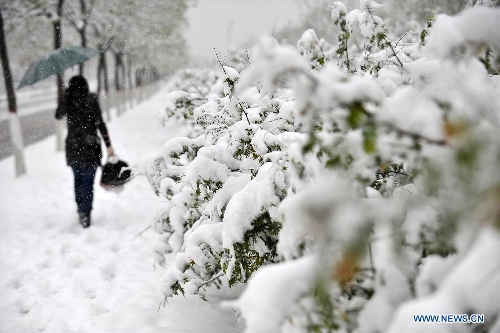 A citizen walks on a snow-covered road in Taiyuan, capital of north China's Shanxi Province, April 19, 2013. A heavy snowfall hit Shanxi's capital city on Friday, where a red alert of snowstorm was issued by local Meteorological Station. (Xinhua/Zhan Yan) 