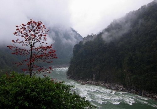 &nbsp;Photo taken on April 4, 2013 shows the landscape in Medog, southwest China's Tibet Autonomous Region. Located in the lower reaches of the Yarlung Zangbo river, Medog boasts of well-preserved environment and biodiversity. (Xinhua/Santa)