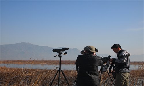  Chinese birdwatchers take photos at Guanting Reservoir in Yanqing county. Photos: Courtesy of Terry Townshend, Jiang Yuxia/GT