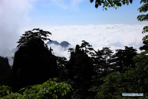 Photo taken on May 19, 2013 shows the sea of clouds at the Huangshan Mountain scenic spot in Huangshan City, east China's Anhui Province. (Xinhua/Shi Guangde)