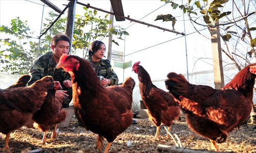 Li Li and his colleague with the chickens raised to feed the birds of prey the station has rescued  Photo: CFP